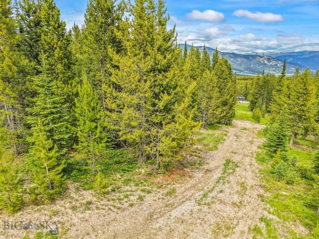 67 Goshawk Trl, Big Sky, MT 59716 - photo 33