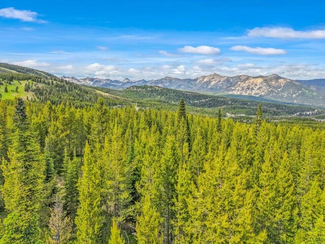 67 Goshawk Trl, Big Sky, MT 59716 - photo 37