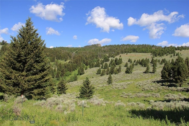 524 Grizzly Meadow Rd, Emigrant, MT 59027 - view of mountain backdrop featuring a heavily wooded area