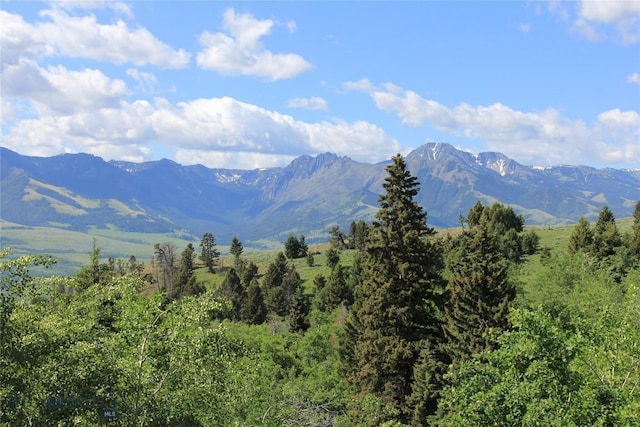 524 Grizzly Meadow Rd, Emigrant, MT 59027 - mountain view with a heavily wooded area