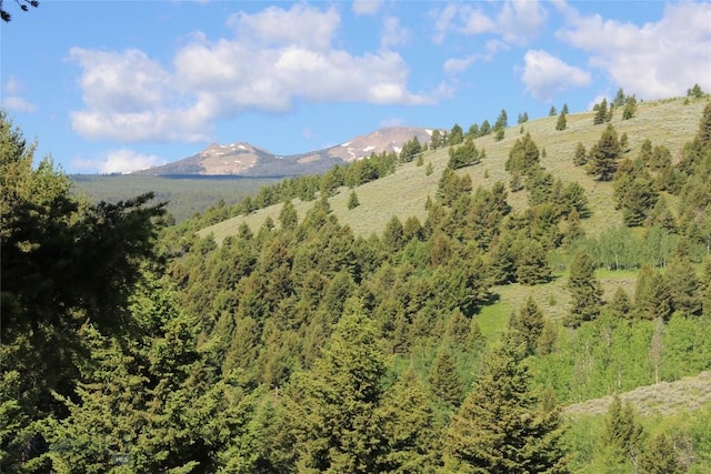 524 Grizzly Meadow Rd, Emigrant, MT 59027 - view of mountain backdrop with a forest