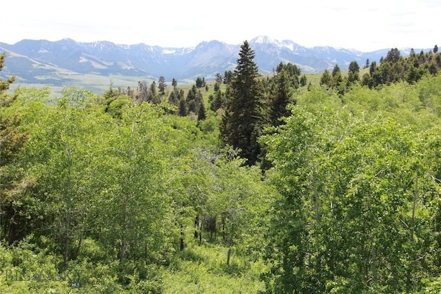 524 Grizzly Meadow Rd, Emigrant, MT 59027 - view of mountain backdrop with a heavily wooded area