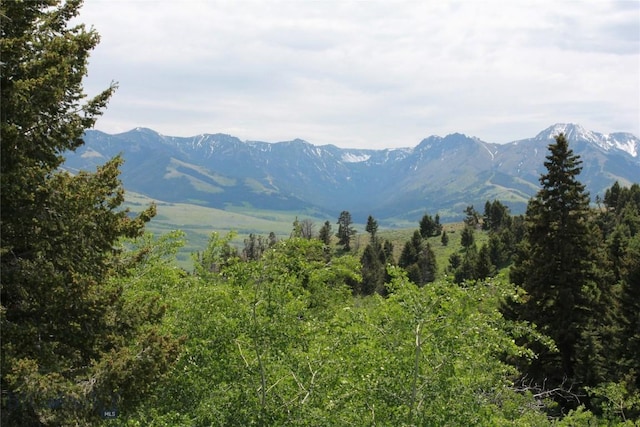 524 Grizzly Meadow Rd, Emigrant, MT 59027 - view of mountain background