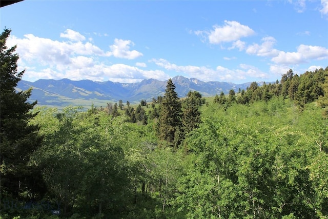 524 Grizzly Meadow Rd, Emigrant, MT 59027 - mountain view featuring a forest