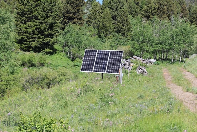 524 Grizzly Meadow Rd, Emigrant, MT 59027 - aerial view of a forest