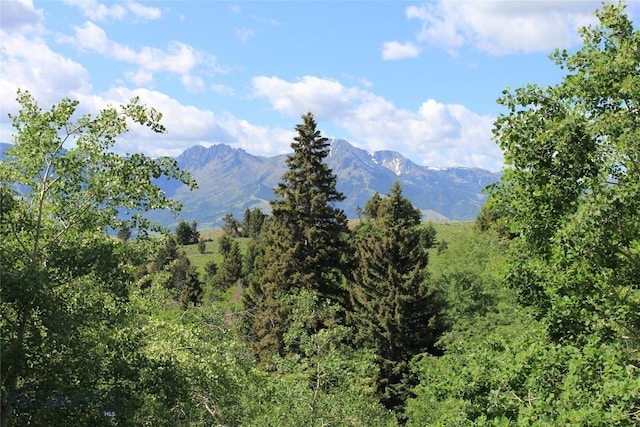 524 Grizzly Meadow Rd, Emigrant, MT 59027 - view of mountain backdrop
