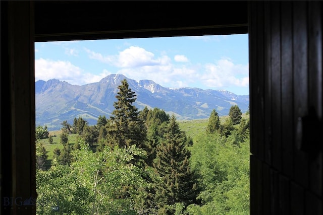 524 Grizzly Meadow Rd, Emigrant, MT 59027 - mountain view