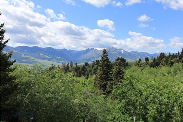 524 Grizzly Meadow Rd, Emigrant, MT 59027 - mountain view featuring a forest