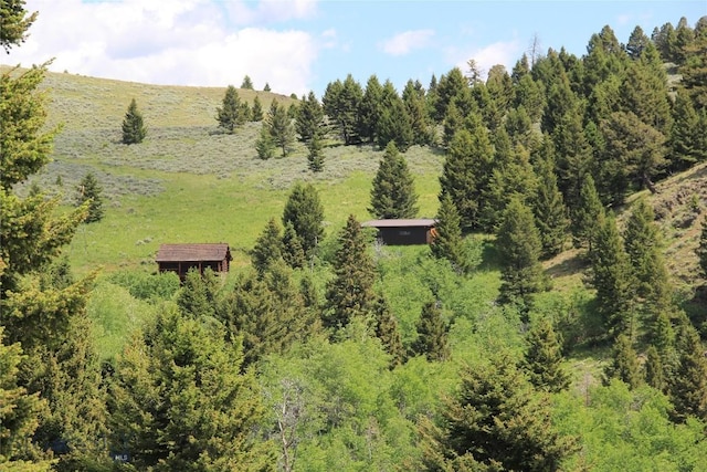 524 Grizzly Meadow Rd, Emigrant, MT 59027 - view from above of property