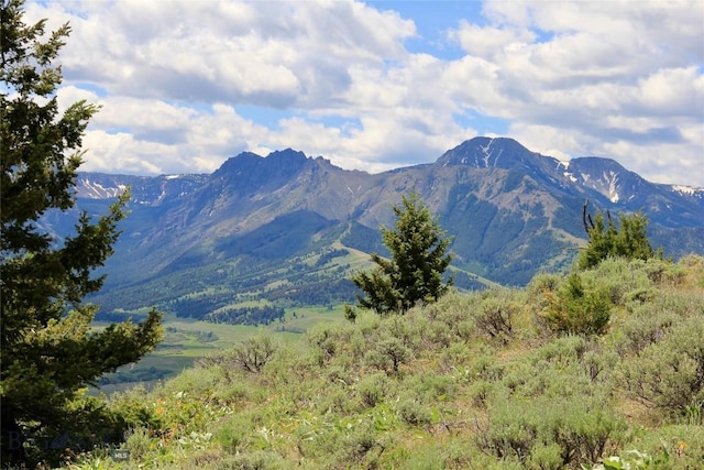 524 Grizzly Meadow Rd, Emigrant, MT 59027 - view of mountain background