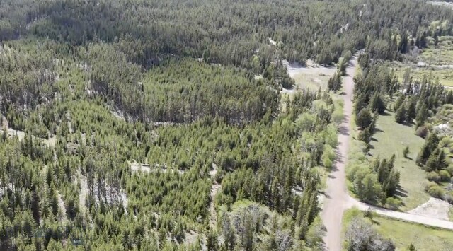 TBD Harris Rd, Anaconda, MT 59711 - photo 4