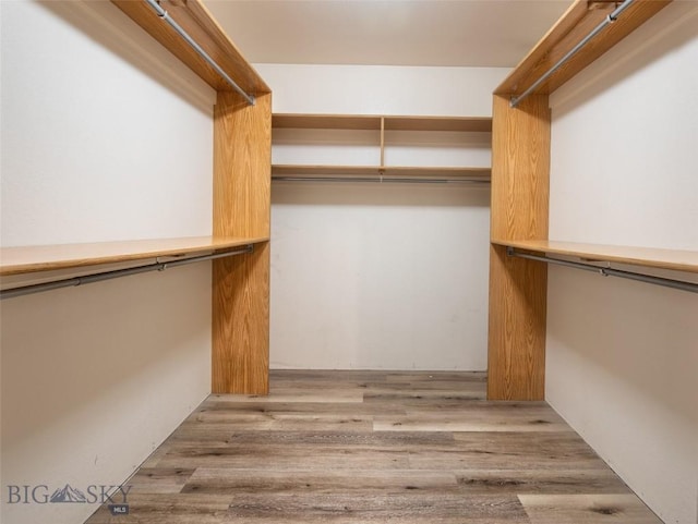 355 Buffalo Dr, Dillon, MT 59725 - spacious closet featuring wood finished floors