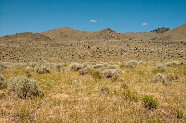 3021 Big Horn Rd, Dillon, MT 59725 - photo 5