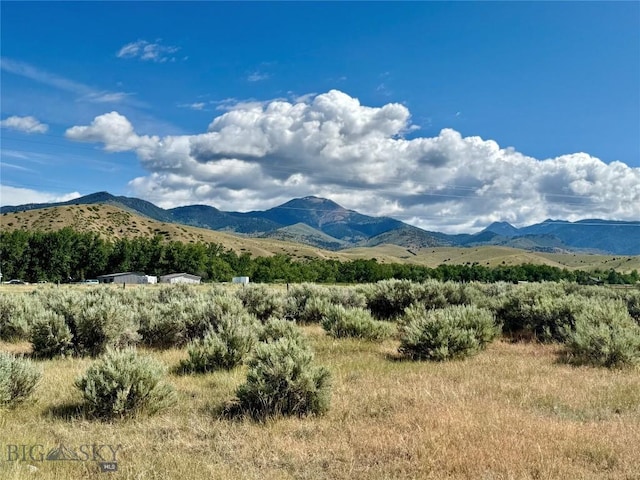 94 Wisconsin Creek Rd, Sheridan, MT 59749 - photo 60