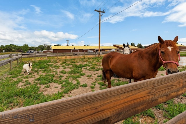 1125 Webster Ln, Dillon, MT 59725 - photo 4