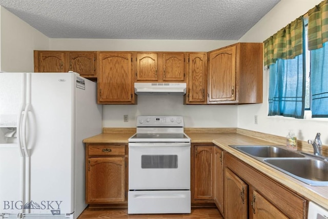 4919 Itana Cir, Bozeman, MT 59715 - photo 39