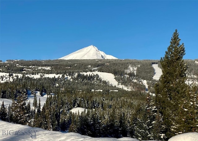 LOT34 Mountain Valley Trl, Big Sky, MT 59716 - photo 22