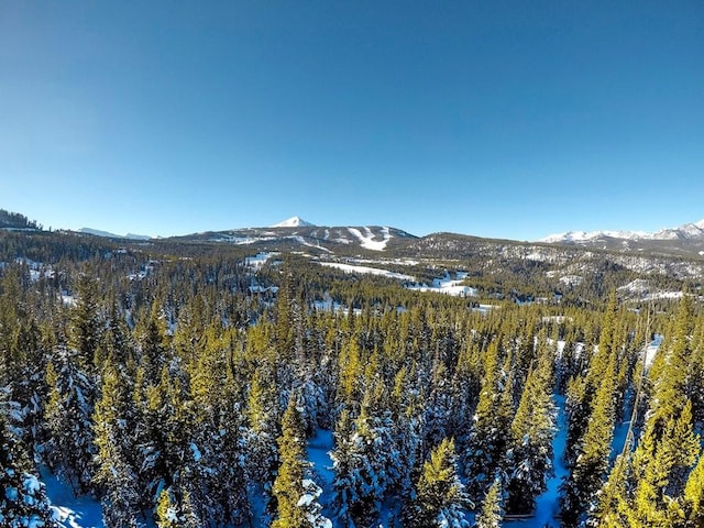 LOT34 Mountain Valley Trl, Big Sky, MT 59716 - photo 23