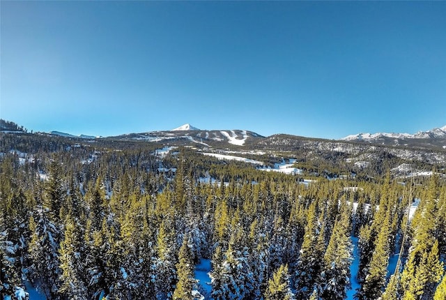 LOT34 Mountain Valley Trl, Big Sky, MT 59716 - photo 25
