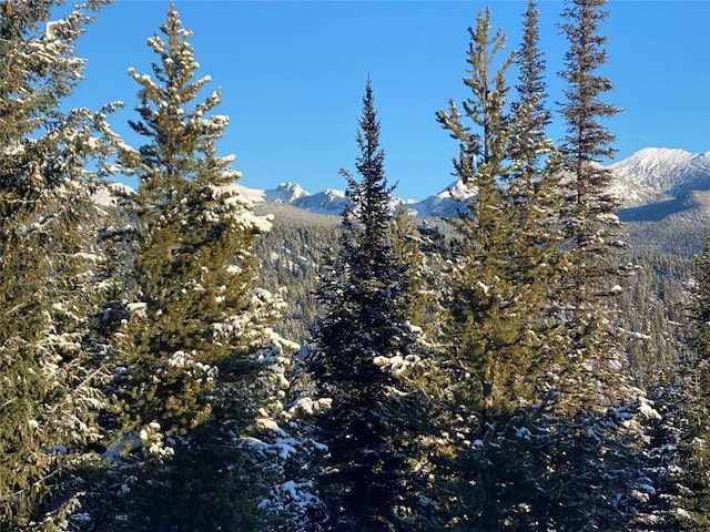 LOT34 Mountain Valley Trl, Big Sky, MT 59716 - photo 29