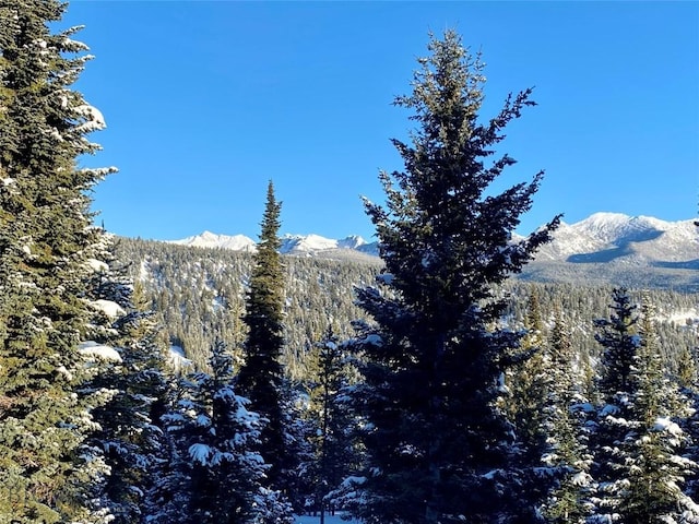 LOT34 Mountain Valley Trl, Big Sky, MT 59716 - photo 35
