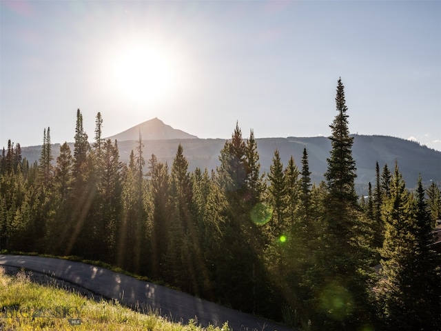 LOT34 Mountain Valley Trl, Big Sky, MT 59716 - photo 10