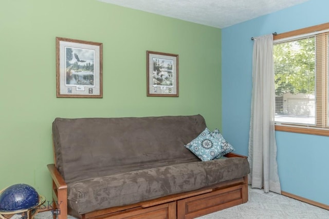 3922 Spruce Meadow Dr, Bozeman, MT 59718 - photo 20