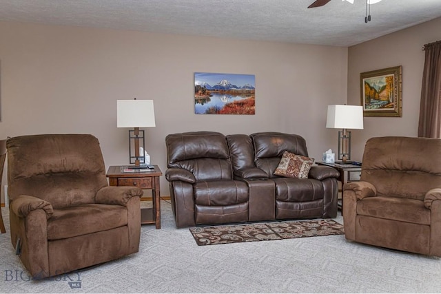 3922 Spruce Meadow Dr, Bozeman, MT 59718 - photo 13