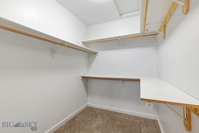 604 Talon Way, Bozeman, MT 59718 - photo 38