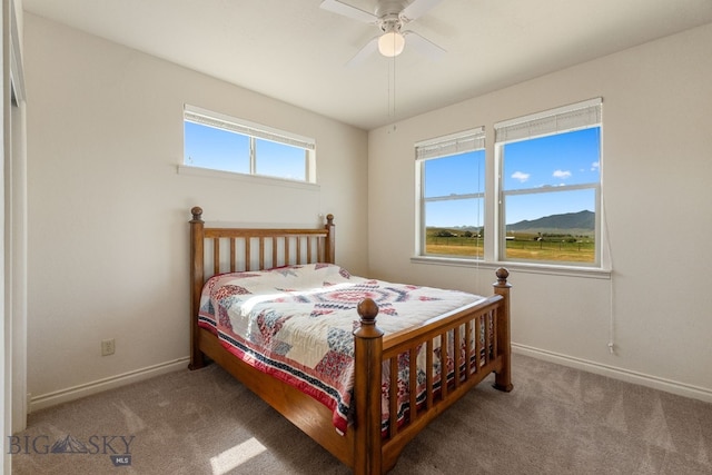16 Buckboard Dr, Sheridan, MT 59749 - photo 50
