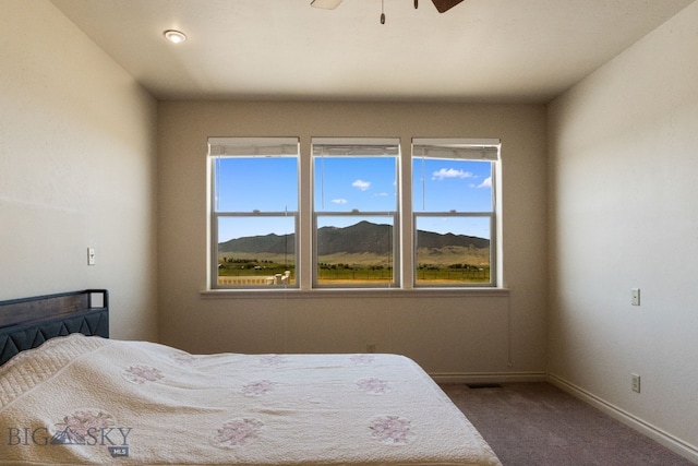 16 Buckboard Dr, Sheridan, MT 59749 - photo 41
