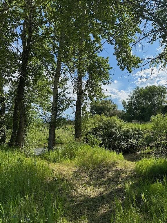 809 W Rocky Crk, Bozeman, MT 59715 - photo 59