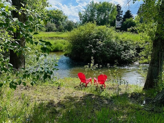 809 W Rocky Crk, Bozeman, MT 59715 - photo 60
