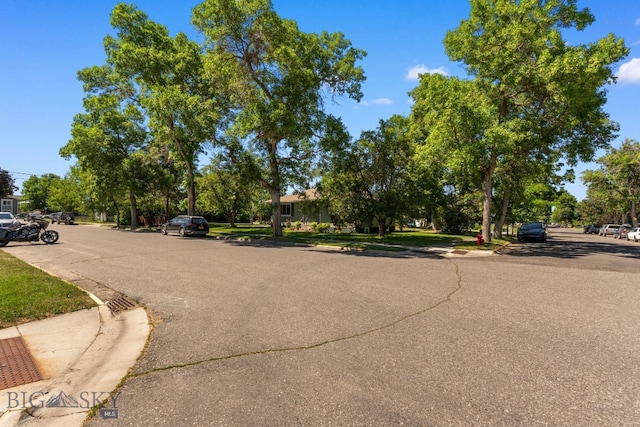 1405 W Dickerson St, Bozeman, MT 59715 - photo 39