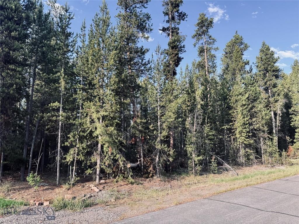 613 Apollinaris Ave, West Yellowstone, MT 59758 - photo 3