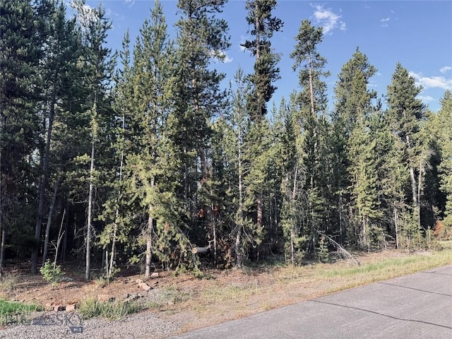 613 Apollinaris Ave, West Yellowstone, MT 59758 - photo 3