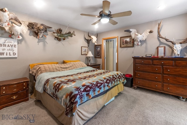 659 Green Tree Dr, Belgrade, MT 59714 - photo 18