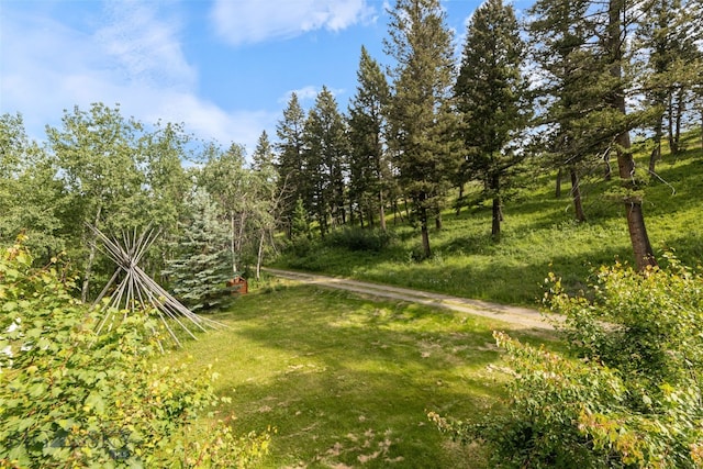 750 Black Bear Rd, Bozeman, MT 59718 - photo 41