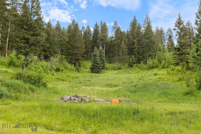 750 Black Bear Rd, Bozeman, MT 59718 - photo 72