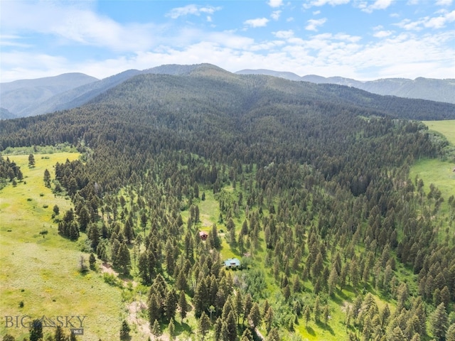750 Black Bear Rd, Bozeman, MT 59718 - photo 77