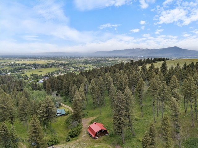 750 Black Bear Rd, Bozeman, MT 59718 - photo 80