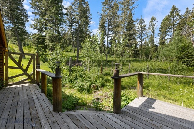750 Black Bear Rd, Bozeman, MT 59718 - photo 43