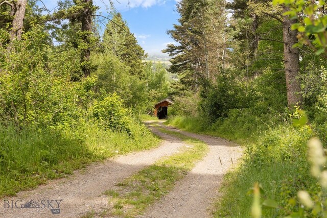 750 Black Bear Rd, Bozeman, MT 59718 - photo 54