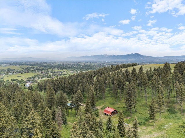 750 Black Bear Rd, Bozeman, MT 59718 - photo 11