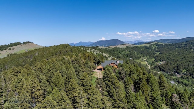 1062 Johnny Martinez Trl, Bozeman, MT 59715 - photo 88