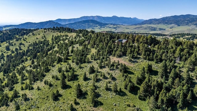 1062 Johnny Martinez Trl, Bozeman, MT 59715 - photo 90