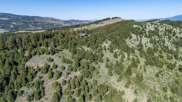 1062 Johnny Martinez Trl, Bozeman, MT 59715 - photo 91
