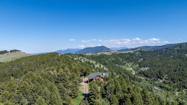 1062 Johnny Martinez Trl, Bozeman, MT 59715 - photo 77