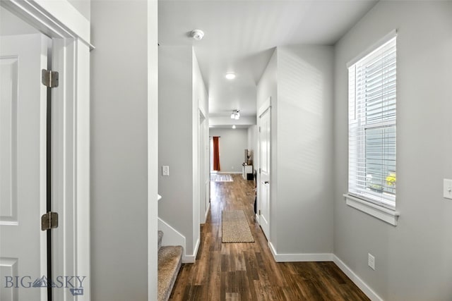 95 9th St Unit B, Belgrade, MT 59714 - photo 12