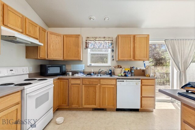 904 Paisley Dr, Belgrade, MT 59714 - photo 20